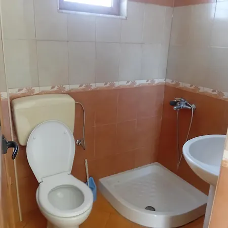 Telo Shehu Radhimë